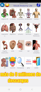 Captura 20 Visual Anatomy Lite android