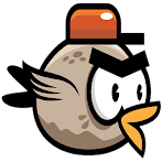ANGRY FLY BIRD