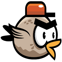 ANGRY FLY BIRD