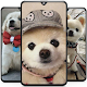 Cute Puppy Wallpaper HD Download on Windows