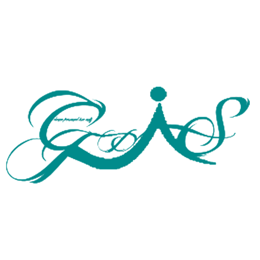 Gali Disawar Satta logo
