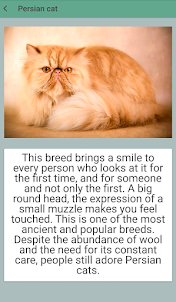 Famous Cat breeds