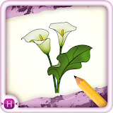 Draw Flower - Full Version icon