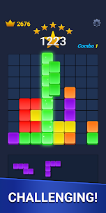 Block Blast Dark 5