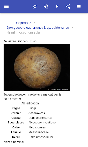 Les maladies des plantes