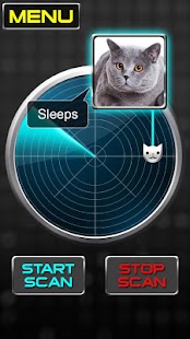 Radar What Makes Cat Joke Screenshot