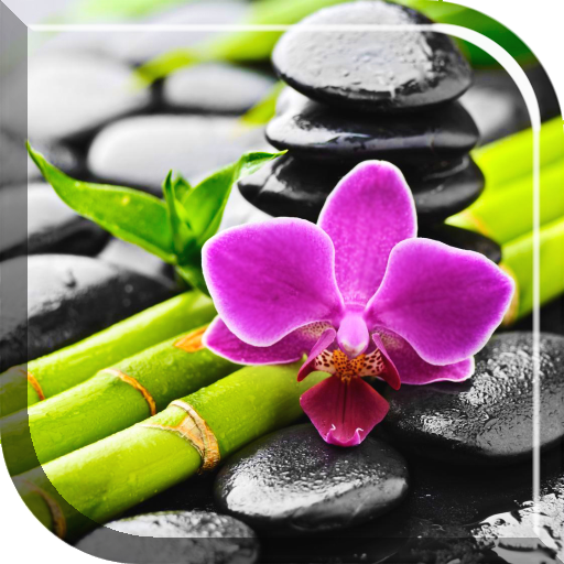 Orchid Live Wallpaper 1.2 Icon
