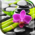 Cover Image of Tải xuống Orchid Live Wallpaper  APK