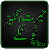 Totkay in Urdu Pro icon