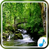 Nature Sounds For Relax and Sleep icon