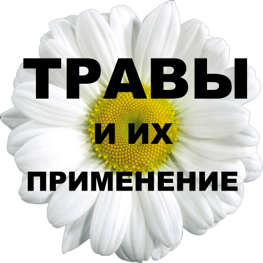 Травы И Их Фото
