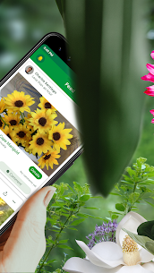 PlantSnap – FREE plant identifier app 2