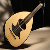 play the lute icon