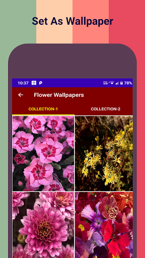 Android application Nature Flower HD Wallpapers screenshort