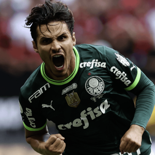 Palmeiras Wallpapers HD 4K Download on Windows