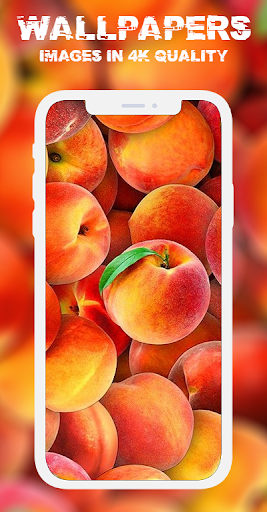 Fruit Wallpapers HD 4K