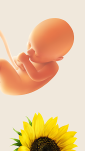 Kehamilan: kalender masa subur