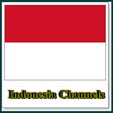Indonesia Channels Info icon