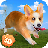 Corgi Dog Life Simulator 3D icon