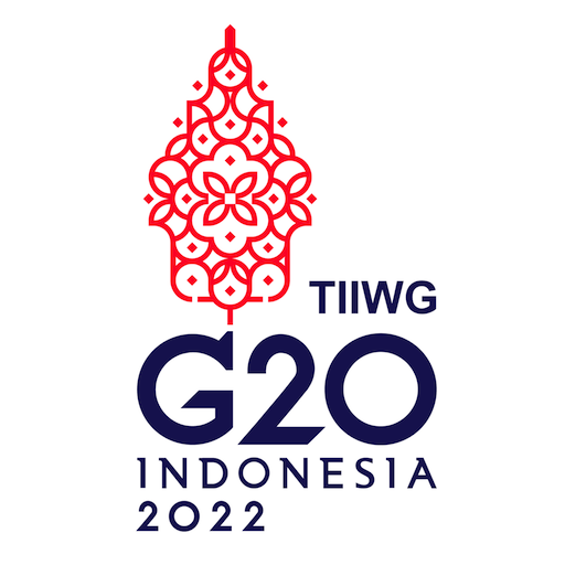 G20 TIIWG logo