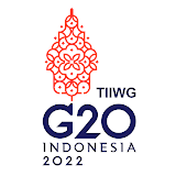 G20 TIIWG icon