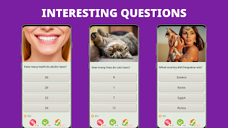 Game screenshot QuizzLand. Quiz & Trivia game mod apk