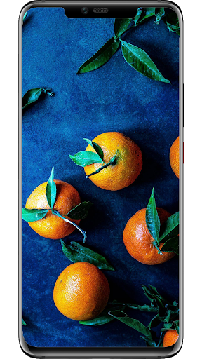 Oranges Wallpapers Screen 3