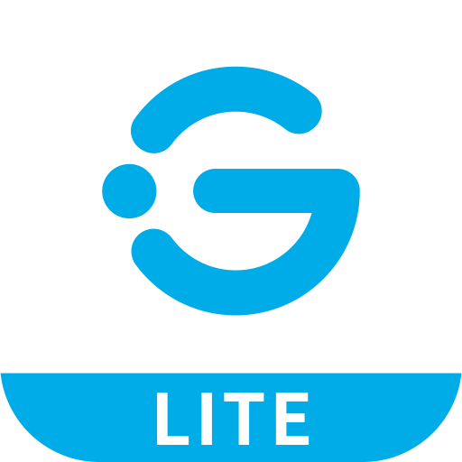 Govee Lite