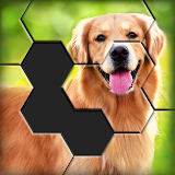 Hexa World Jigsaw - Free Puzzle Quest icon