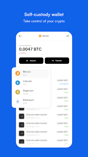 P100 - The Digital Money App Screen 3
