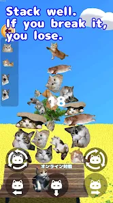 Cat Game Online 9