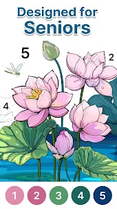 Anima Color for Seniors