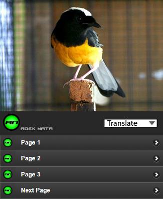 How to Care for Birds of Magpie Stone