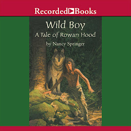 Icon image Wild Boy: A Tale of Rowan Hood