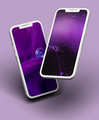 Screenshot of Purple Wallpaper