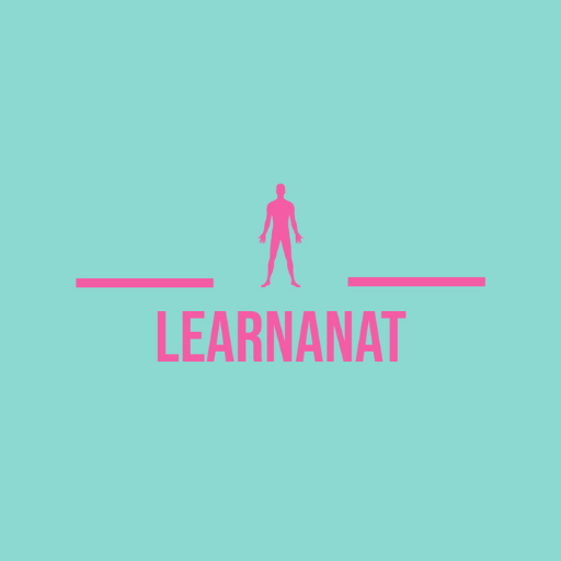 LearnAnat logo
