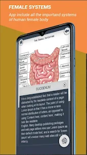 Female Anatomy 3D Anatomy App