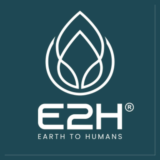E2H logo