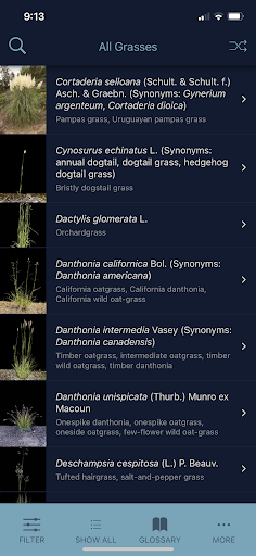 Android application California Grasses screenshort