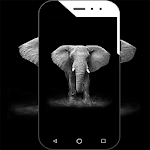 Cover Image of Download Elephant Wallpaper 1.4 APK