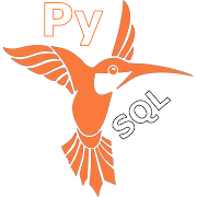  Python & SQL 