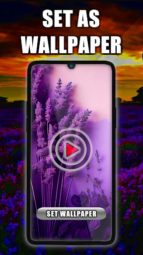 Android application Lavender Live Wallpaper screenshort