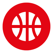 Federación Navarra de Baloncesto  Icon
