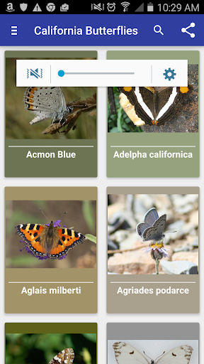 Android application California Butterflies screenshort