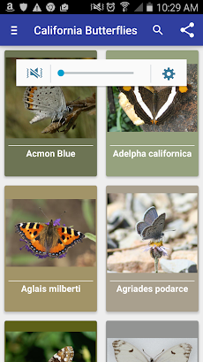 California Butterfliesのおすすめ画像1