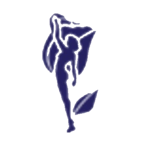 LeCleire Online logo