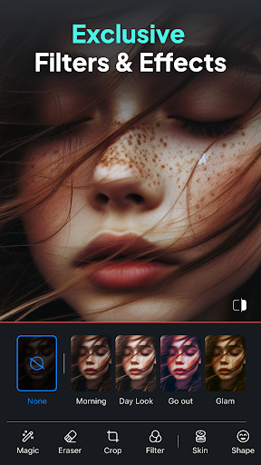 Photo Motion - Animator Screen 3