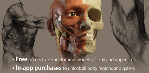 3D Anatomy For The Artist - Ứng Dụng Trên Google Play