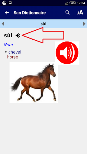 Android application San dictionnaire screenshort