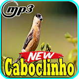 Canto de Caboclinho Brasil Mp3 icon
